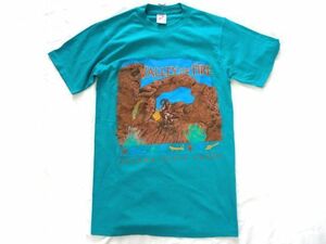 デッドストック90年代USA製ヴィンテージ JERZEESジャージーズ VALLEY of FIRE ネバダTシャツ#1 S アメリカ製　US古着　