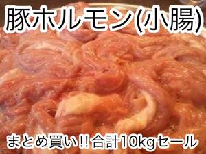 セール特価価格！！北海道産豚小腸 新鮮 急速冷凍!! 国産 豚ホルモン10kg！！国産豚(小腸、焼肉、もつ鍋）