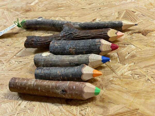 木の枝の色鉛筆セット