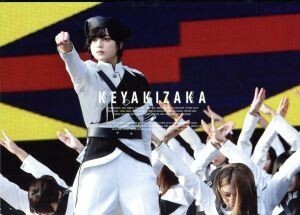 欅共和国２０１８（初回生産限定版）（Ｂｌｕ－ｒａｙ　Ｄｉｓｃ）／欅坂４６