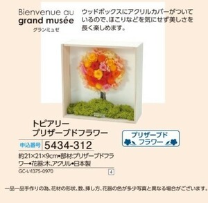 *** new goods gran myuze topiary preserved flower ***