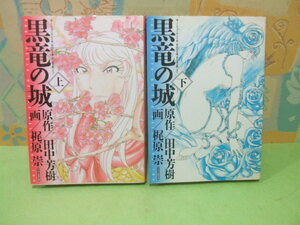 ★黒竜の城☆上・下巻 田中芳樹 梶原崇 アッパーズKC 講談社