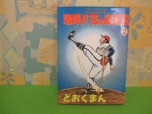 嗚呼！！花の応援団　　１２ （ホームコミックス） どおくまん