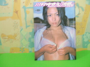 ☆☆ 川村ゆきえ:決意―Special making DVD 　DVD 無し☆☆EICHI MOOK　英和出版