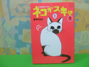 ☆☆ネコがスキ　ネコ好きのバイブル キス☆☆？　初版　野中のばら　ＫＣワイドＫｉｓｓ　講談社