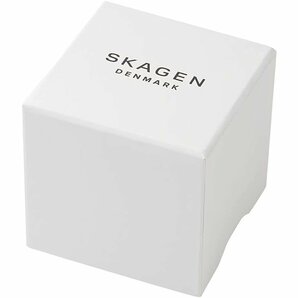 激安 スカーゲン SKAGEN アネリー SKW2751 レディース 最短即日発送の画像4