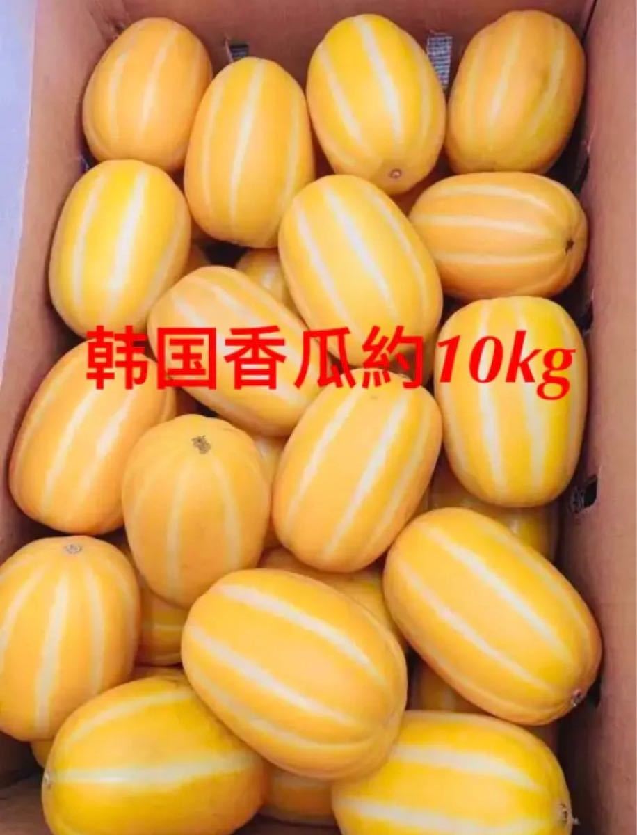 韓国産 チャメ 1箱 約10kg www.blogdosalao.com.br