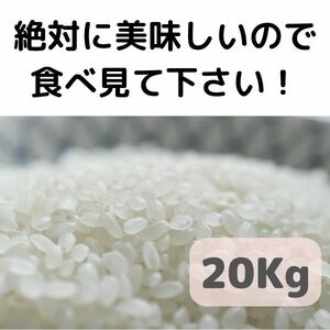 【送料無料】 農家直送 新米（20Kg） 令和３年産！「鈴木さん」の美味しいお米 20キロ 農薬の少ないお米