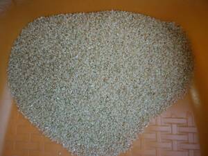 京都山城産　ひのひかり　玄米10kg