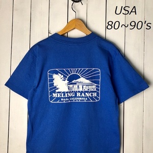 T●269 USA古着 80s～90s USA製 BAJA CALIFORNIA スーベニアTシャツ 38-40 ONEITA オールド ヴィンテージ アメリカ古着 シングルステッチ