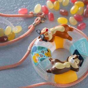 ★新品★限定品★ディズニー チップ デール スーベニア ミニスナックケース グミ スイスイサマー ディズニーランド ディズニーシー