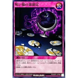 ☆新品未使用☆遊戯王ラッシュデュエル　呪い猫の皿勘定　RD/MRP1-JP086・ノーマル・1枚