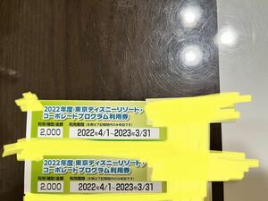 東京ディズニーランド　コーポレートプログラム　2000円×2枚　4000円　チケット　ディズニーシー