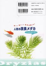 人気の改良メダカ 上手な飼い方 （ピーシーズ社発行）_画像3