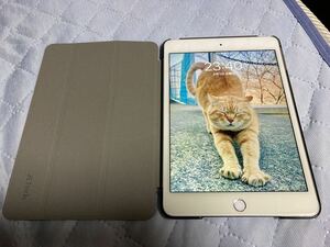 【即日発送】iPad mini 4 128GB Wi-Fiモデル ブルーライトカットガラス&ケース付き