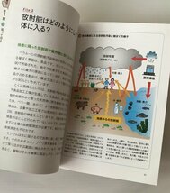 自分と子どもを放射能から守るには : 今日からできる!キッチンでできる!チェルノブイリからのアドバイス : 日本語版特別編集_画像3