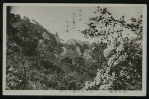 11449 戦前 絵葉書 福島県 矢祭名勝 矢祭山公園の一部 矢祭山巨岩を覆いて松千本 桜