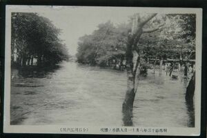 11403 戦前 絵葉書 洪水 東京 小石川江戸川 明治43年8月11日 大洪水の惨況