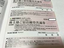 【最新】東急不動産 株主優待券 宿泊優待共通券 リゾートホテル 東急ステイ パラオ 2枚セット_画像1