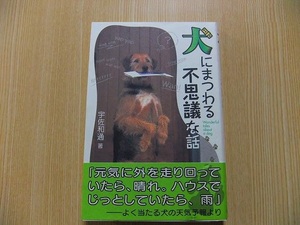 犬にまつわる不思議な話