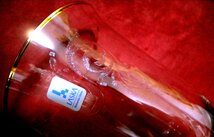 売切 LASKA ボヘミア チェコ 金彩 クリスタル エッチング ワイングラス 2客組 容量230ml 重量160ｇ 未使用品寸法φ80(台座φ72)×H200mm_画像1