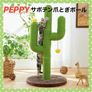 【PEPPY】サボテン爪とぎポール