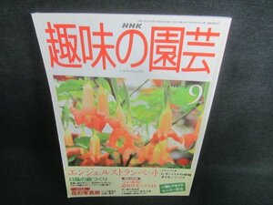 趣味の園芸　1999.9　エンジェルストランペット　日焼け有/CDR