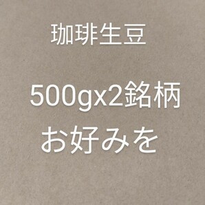 お好みの珈琲生豆500gx2銘柄　合計1kg コーヒー豆