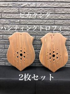 【2枚お得セット】 ビカクシダ コウモリラン 着生板 ウォルナット 板付け ハンティングトロフィー おしゃれ★