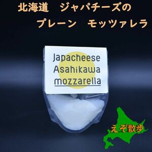 ジャパチーズ　北海道　旭川　プレーンモッツァレラ 100g　２個セット　ホッカイドウチーズ　北海道産牛乳