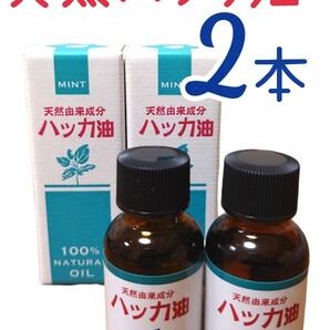ハッカ油 20ml 2本 天然由来成分100% 虫除け マスク快適 アロマ リフレッシュ