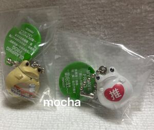 フロッグスタイル FROG STYLE COLLECTION 20th ANNIVERSARY 2個セット