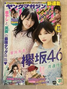 2017/7/17　31号　週刊ヤングマガジン　渡邉理佐　菅井友香　岡田紗佳　土屋美穂　本田翼