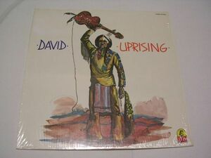 ●FREE SOUL RARE GROOVE FUNK LP●DAVID / UPRISING