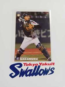 カルビープロ野球チップス 2013年 第3弾 レギュラーカード 東京ヤクルトスワローズ 172 　中村　悠平
