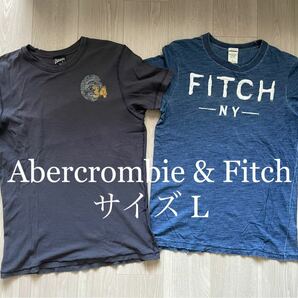 Abercrombie & Fitch 半袖Tシャツ　サイズL 2枚セット