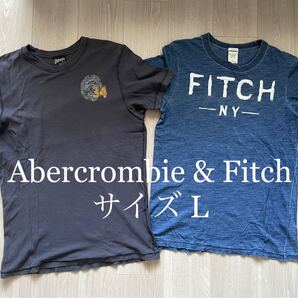 Abercrombie & Fitch 半袖Tシャツ サイズL 2枚セット