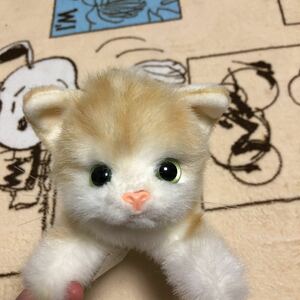 四季オリジナル　ぬいぐるみ　猫　レッドタビー　日本製　レア　希少品