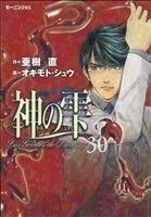 神の雫(３０) モーニングＫＣ／オキモト・シュウ(著者),亜樹直(著者)