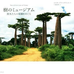 樹のミュージアム 樹木たちの楽園をめぐる／ルイス・ブラックウェル(著者),千葉啓恵(訳者)