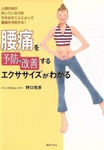 腰痛を予防・改善するエクササイズがわかる／野口克彦(著者)