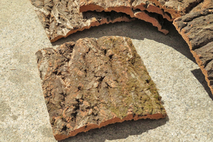 5枚セット　樹皮　コルク板　15×15ｃｍ（厚約10ｍｍ前後）洋蘭　原種　チランジア　platycerium　ビカクシダ　ラン　コルク　樹皮　