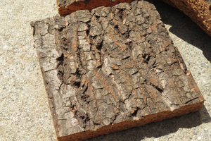 特殊コルク　2層　1枚　樹皮　コルク板　15×15ｃｍ（厚約20ｍｍ前後）洋蘭　原種　　platycerium　ビカクシダ　ラン　コルク