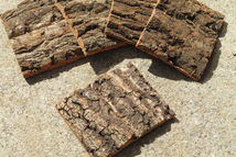 1枚　コルク　樹皮　コルク板　10×8ｃｍ（厚約10ｍｍ以下）洋蘭　原種　チランジア　エアープランツ　小型　ビカクシダ　ラン　コルク_画像1