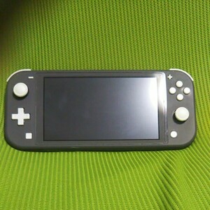 任天堂 スイッチライト Nintendo Switch