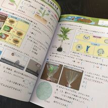 テ78 きわめる夏 6年生 正進社 学習 問題集 ドリル 小学 テキスト テスト 文章問題 家庭学習 国語 理科 算数 社会 英語 勉強 計算 漢字_画像8