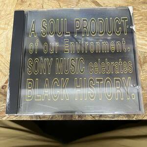 シ● HIPHOP,R&B A SOUL PRODUCT OF OUR ENVIRONMENT アルバム CD 中古品