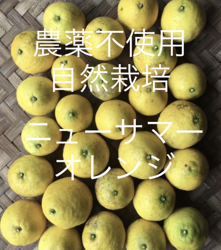 カテゴリ レモン様 専用♡の通販 by Kちゃん's shop｜ラクマ カテゴリ