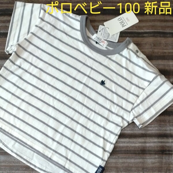 ポロベビー100　 半袖Tシャツ