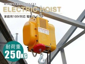 小型強力電動ウインチ ホイスト 家庭用100V対応 50Hz 最大能力250kg 出張先や現場ですぐに使える移動式 吊り下げタイプ 【60日安心保証付】